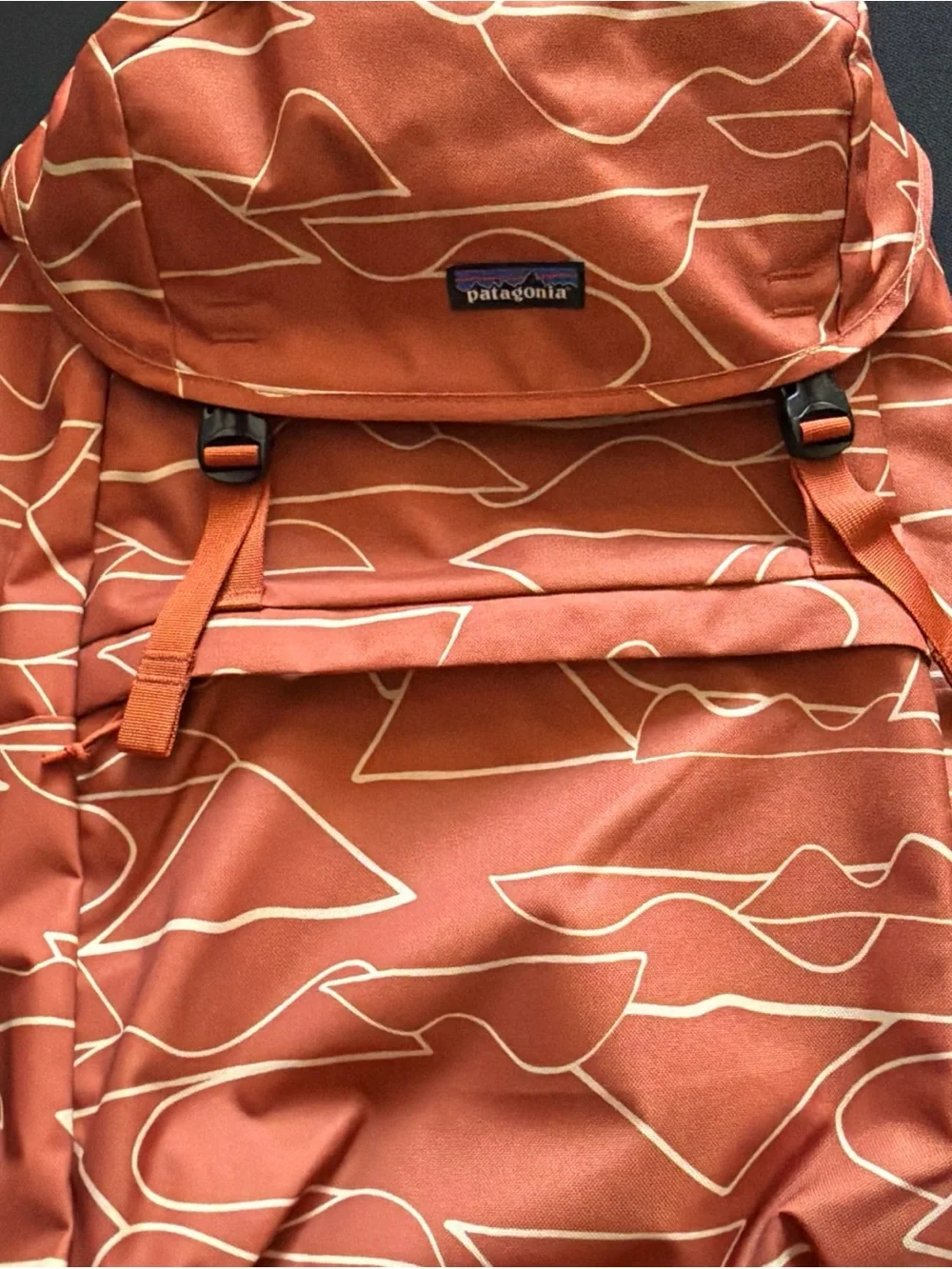 Patagonia Rust Orange Backpack with Cream Abstract Pattern
